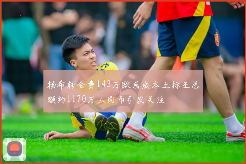 杨希转会费143万欧或成本土标王总额约1170万人民币引发关注